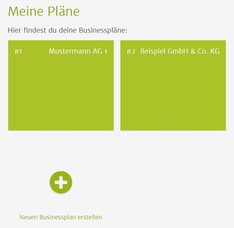 Lexware business plan 02 picture